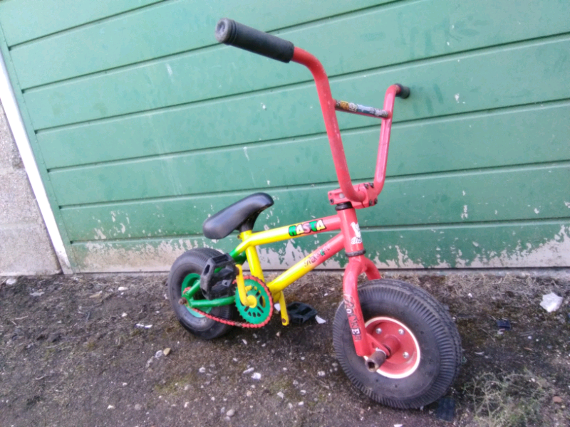 rasta mini rocker
